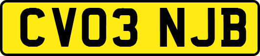 CV03NJB