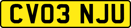 CV03NJU