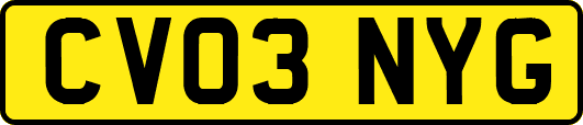 CV03NYG