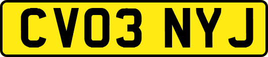 CV03NYJ