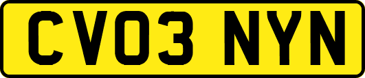 CV03NYN