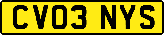 CV03NYS