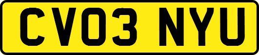 CV03NYU