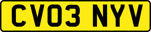 CV03NYV
