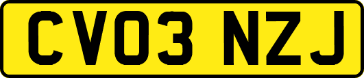 CV03NZJ
