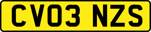 CV03NZS