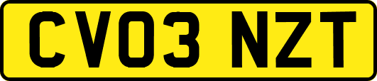 CV03NZT