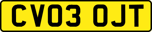 CV03OJT