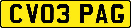 CV03PAG