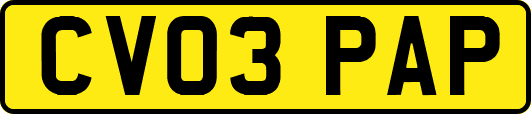 CV03PAP