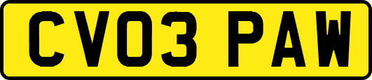 CV03PAW