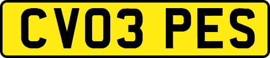 CV03PES
