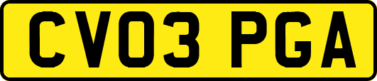 CV03PGA