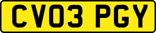 CV03PGY