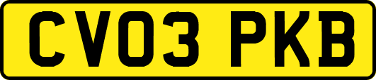CV03PKB