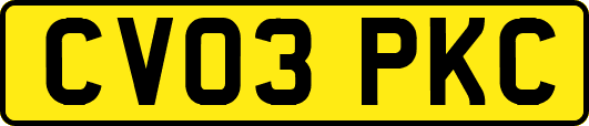 CV03PKC