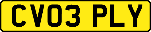 CV03PLY