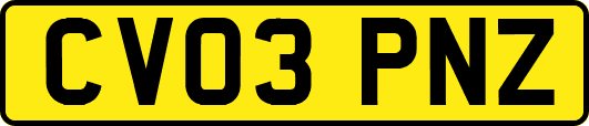 CV03PNZ