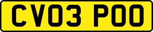 CV03POO