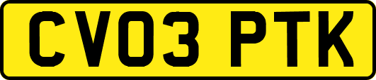 CV03PTK