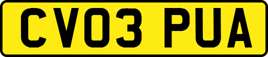CV03PUA