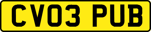CV03PUB