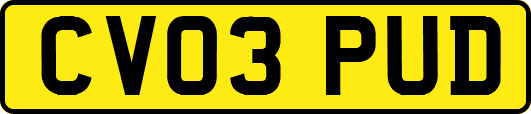 CV03PUD