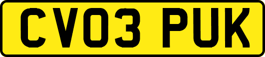 CV03PUK