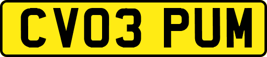 CV03PUM