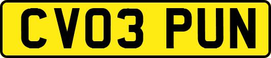 CV03PUN