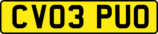 CV03PUO