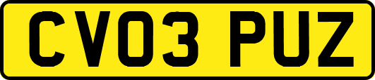 CV03PUZ