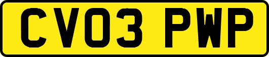 CV03PWP
