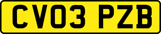 CV03PZB
