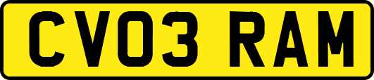 CV03RAM