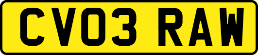 CV03RAW