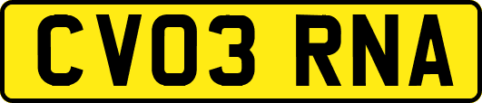 CV03RNA