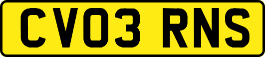 CV03RNS