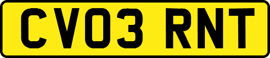 CV03RNT