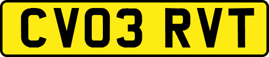 CV03RVT