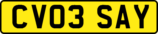 CV03SAY
