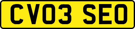 CV03SEO