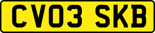 CV03SKB