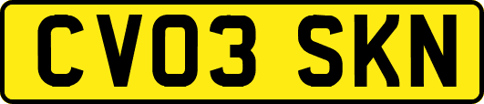CV03SKN
