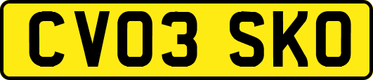 CV03SKO