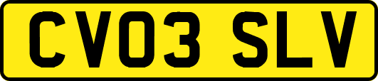 CV03SLV