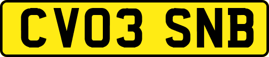 CV03SNB