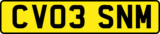 CV03SNM