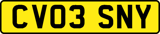 CV03SNY