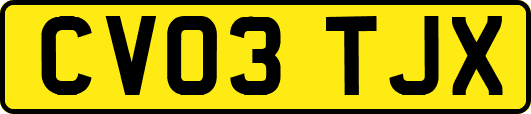 CV03TJX